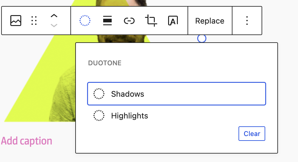 Screenshot of Gutenberg toolbar after duotone support is removed