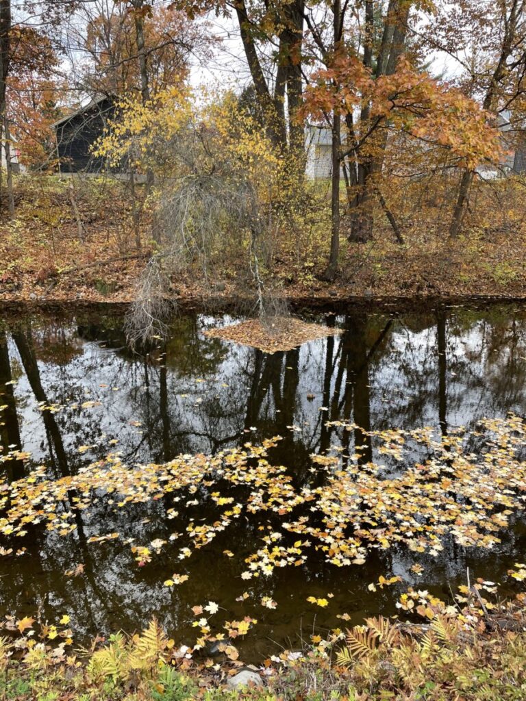 leaves pool in a square shape in the local canal