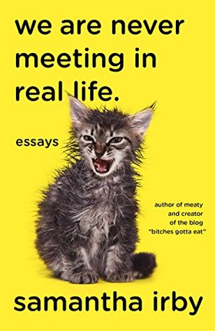 We Are Never Meeting in Real Life book cover